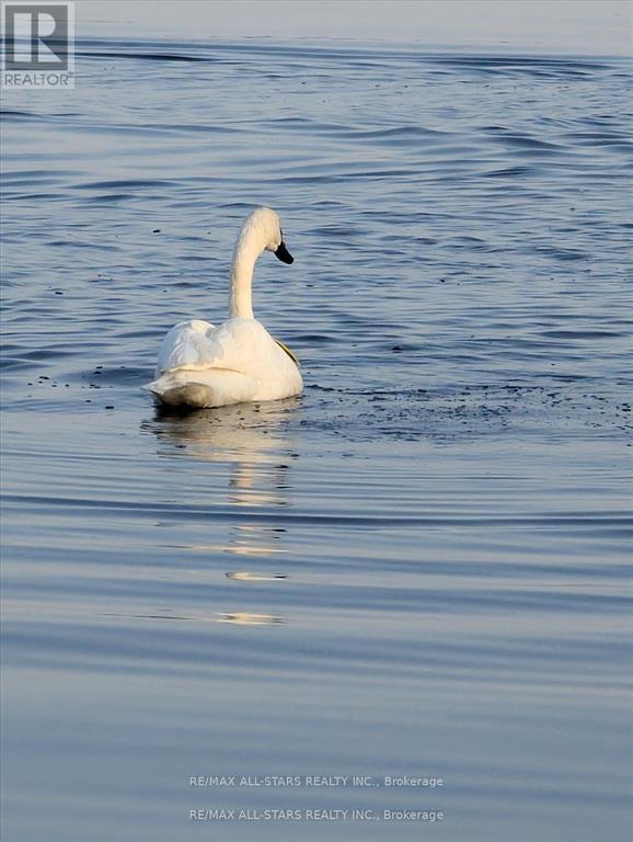 194 Snug Harbour Road, Kawartha Lakes, Ontario  K9V 4R6 - Photo 48 - X12782230