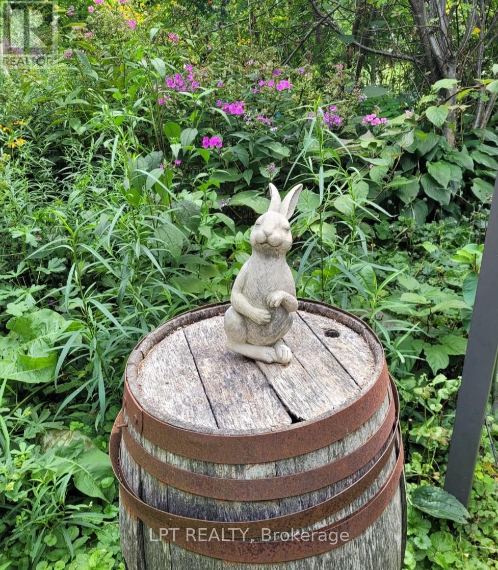 15142 Mount Pleasant Road, Caledon, Ontario  L7E 3M4 - Photo 39 - W12782212