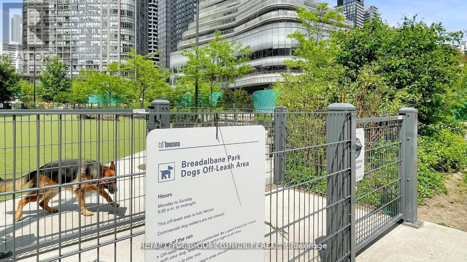 1609 - 909 Bay Street, Toronto, Ontario  M5S 3G2 - Photo 40 - C12782262