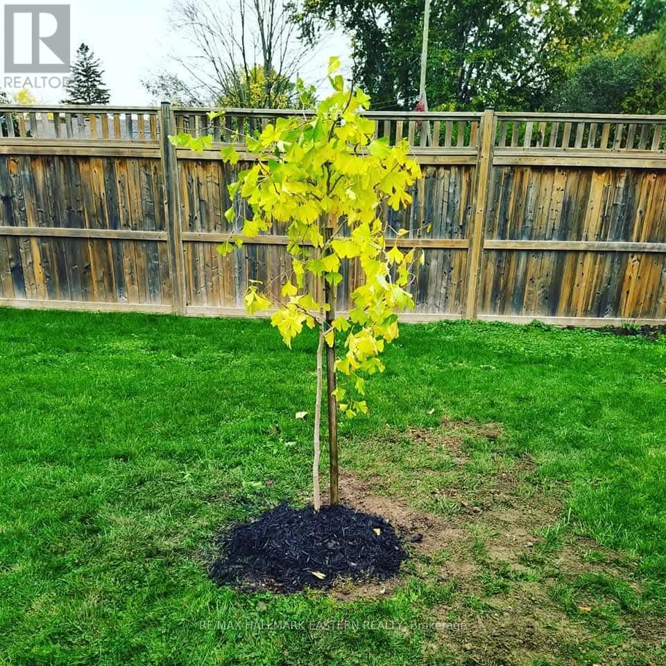 845 Gilbert Street, Peterborough (Northcrest Ward 5), Ontario  K9H 6G6 - Photo 40 - X12782570