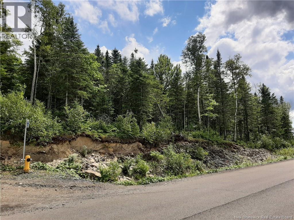 0 De La Falaise Street, Edmundston, New Brunswick  E3V 0B2 - Photo 1 - NB133515