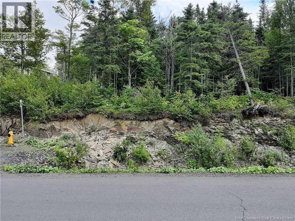 0 De La Falaise Street, Edmundston, New Brunswick  E3V 0B2 - Photo 2 - NB133515
