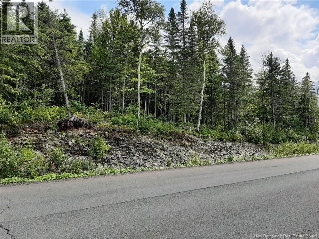 0 De La Falaise Street, Edmundston, New Brunswick  E3V 0B2 - Photo 3 - NB133515