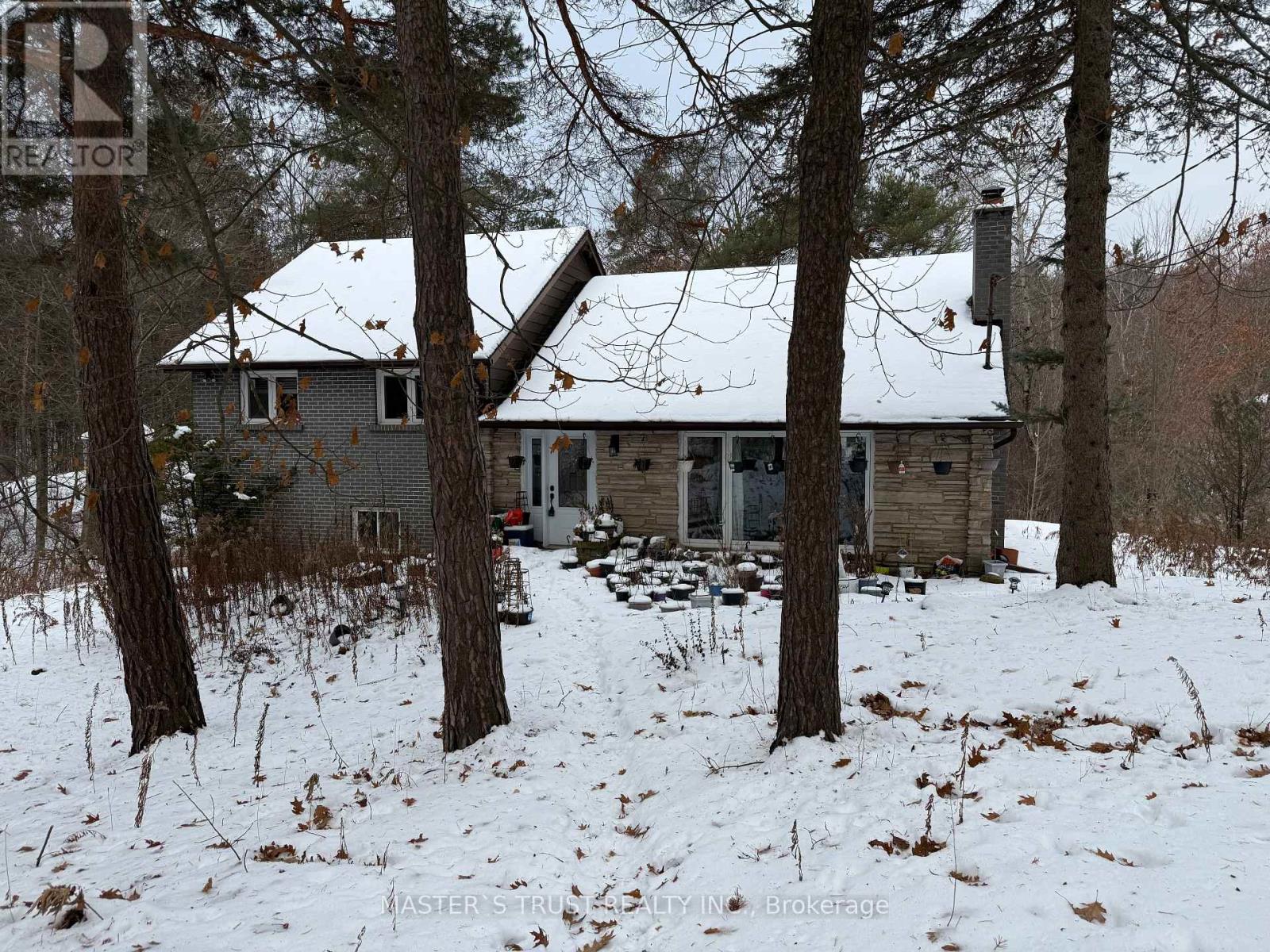 14178 Yonge Street, Aurora, Ontario  L4G 0P5 - Photo 4 - N12782434