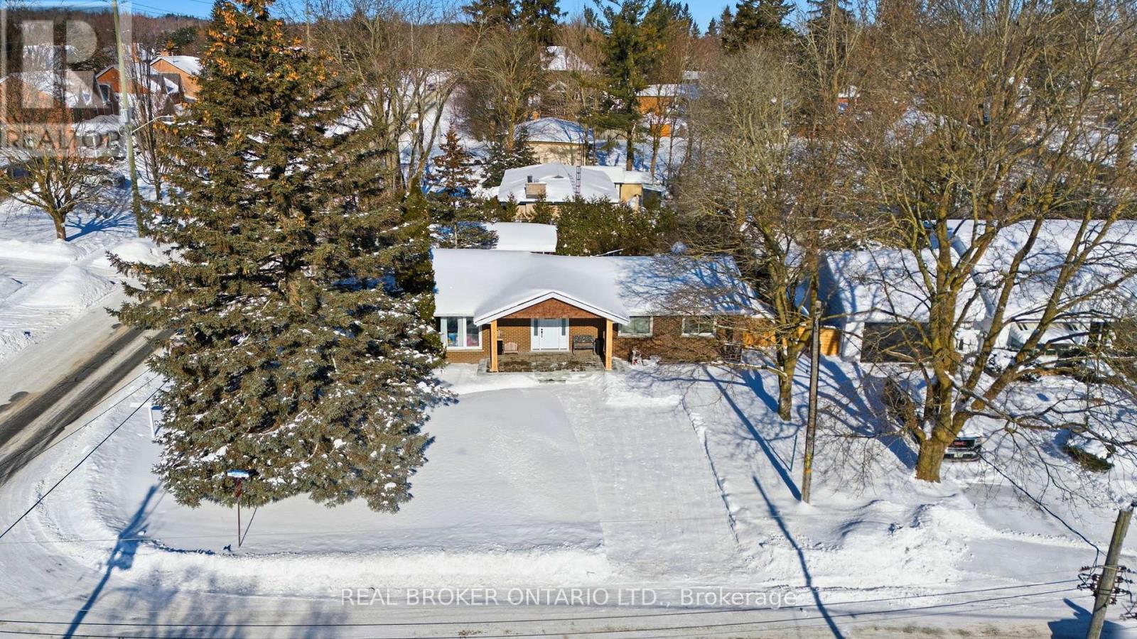 241 Maple Street, Uxbridge, Ontario  L9P 1A8 - Photo 3 - N12782656