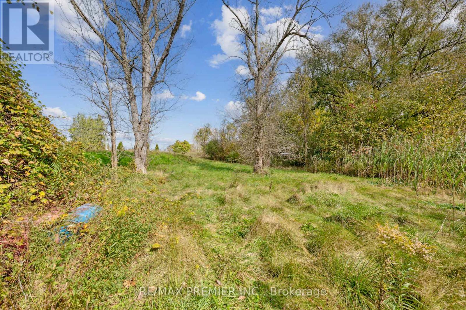 294 Lyon's Creek Road, Niagara Falls, Ontario  L2G 0S1 - Photo 22 - X12782410