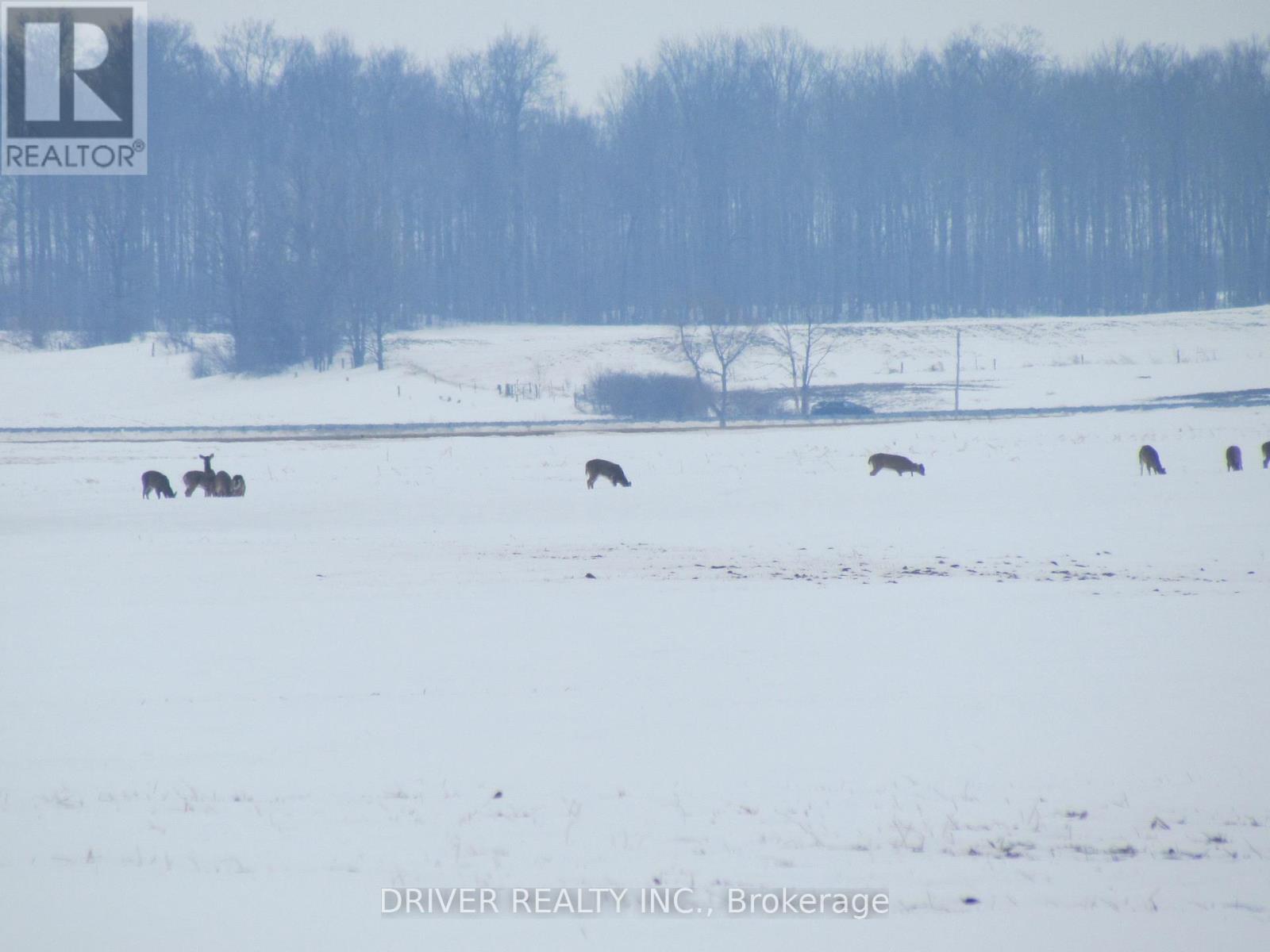 2081 Harrietsville Drive, Thames Centre, Ontario  N0L 1V0 - Photo 4 - X12782812