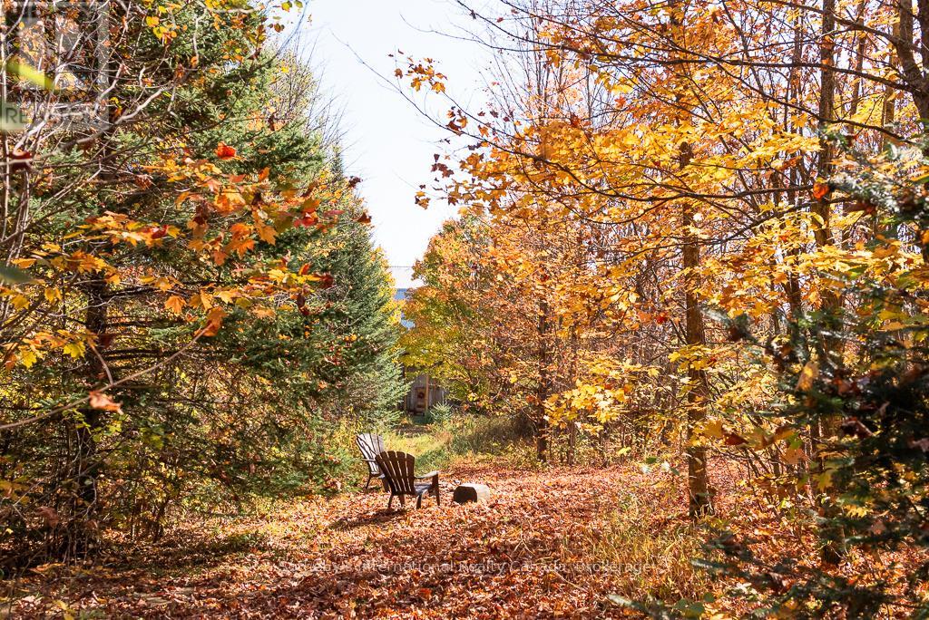 4198 Eagle Lake Road, Parry Sound Remote Area, Ontario  P0A 1X0 - Photo 33 - X12782734