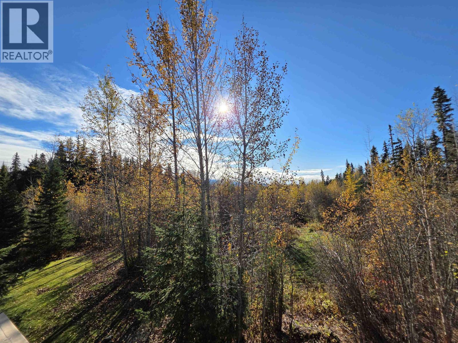 10955 Charles Drive, Prince George, British Columbia  V2N 6V8 - Photo 39 - R3089331