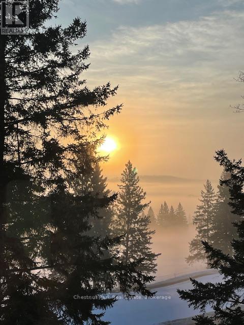 5 - 3421 Grandview Forest Hill Drive, Huntsville, Ontario P1H 2J5 - Photo 4 - X12782882