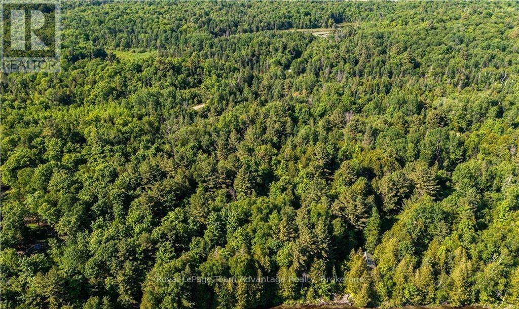 990 Shawanaga Lake Road, Whitestone, Ontario  P0A 1G0 - Photo 9 - X12783096