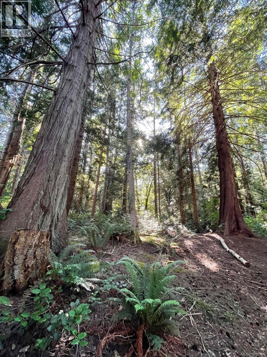 6375 St Johns Point Rd, Hornby Island, British Columbia  V0R 1Z0 - Photo 5 - 1012361