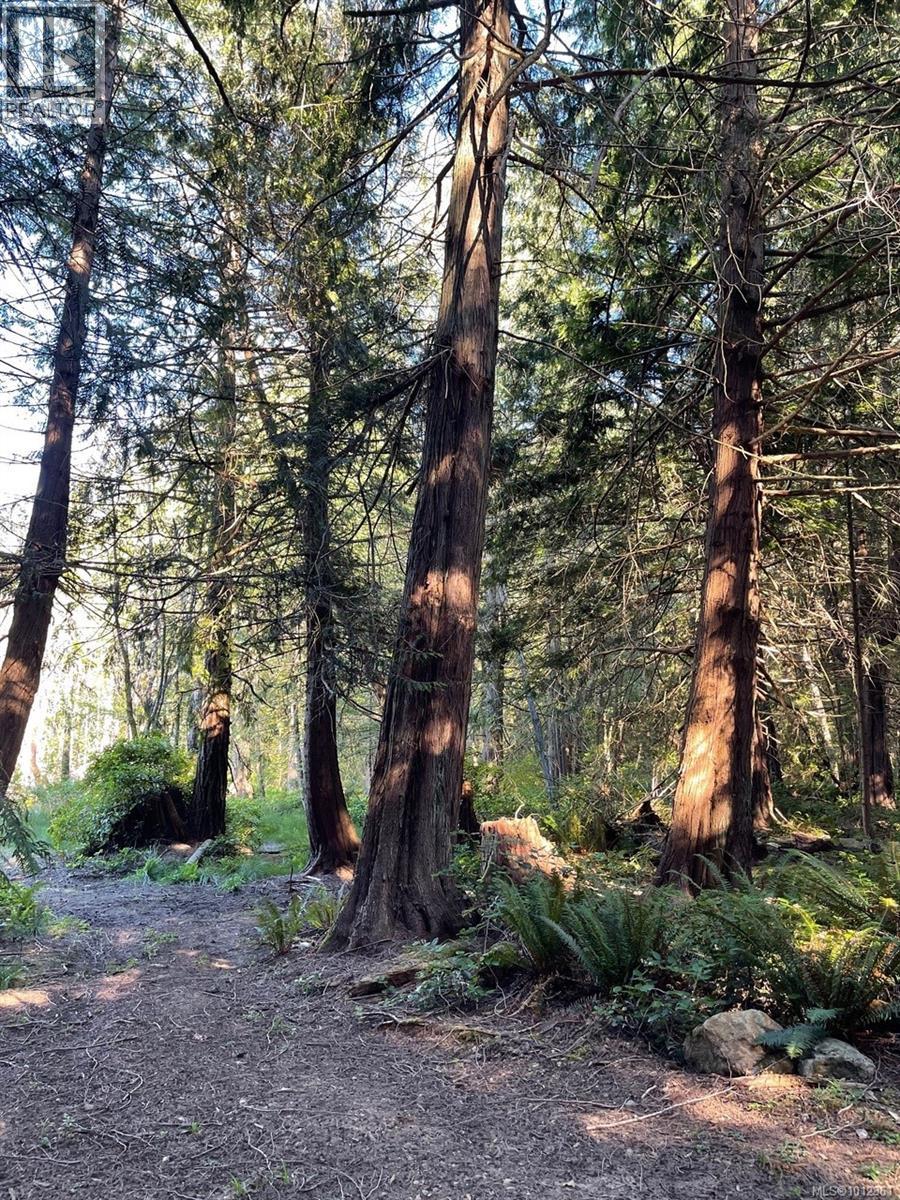 6375 St Johns Point Rd, Hornby Island, British Columbia  V0R 1Z0 - Photo 4 - 1012361