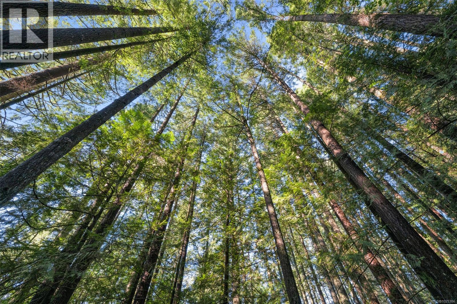 5086 Mclay Rd, Duncan, British Columbia  V9L 6S1 - Photo 72 - 1025384