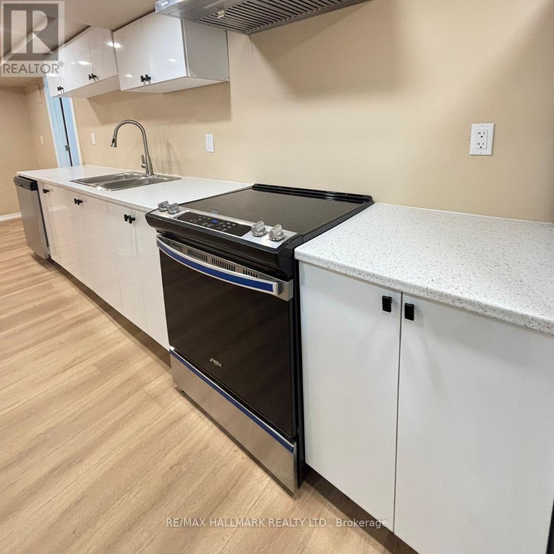 Basement - 359 Salisbury Lane, Newmarket, Ontario  L3Y 8A4 - Photo 3 - N12783130