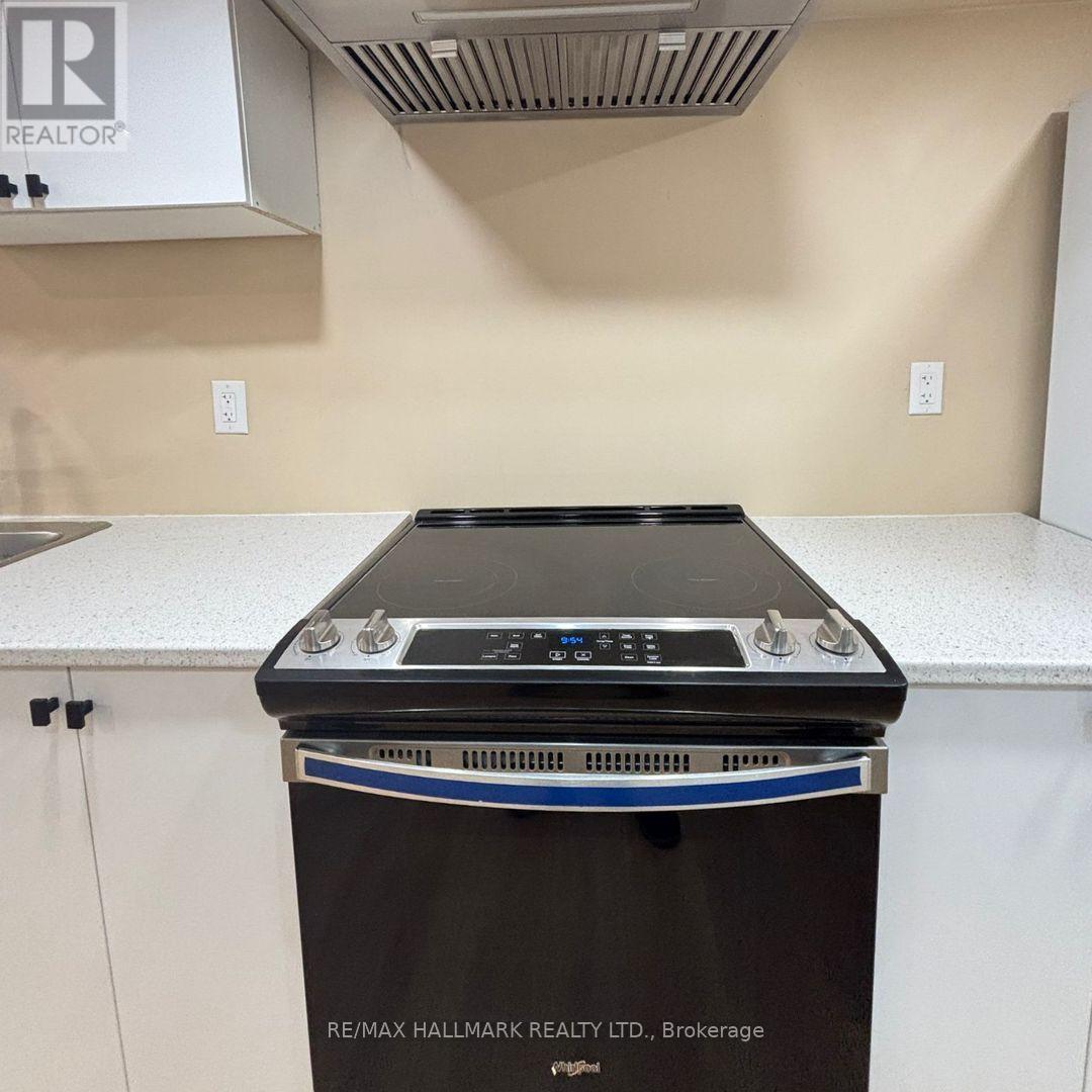 Basement - 359 Salisbury Lane, Newmarket, Ontario  L3Y 8A4 - Photo 4 - N12783130