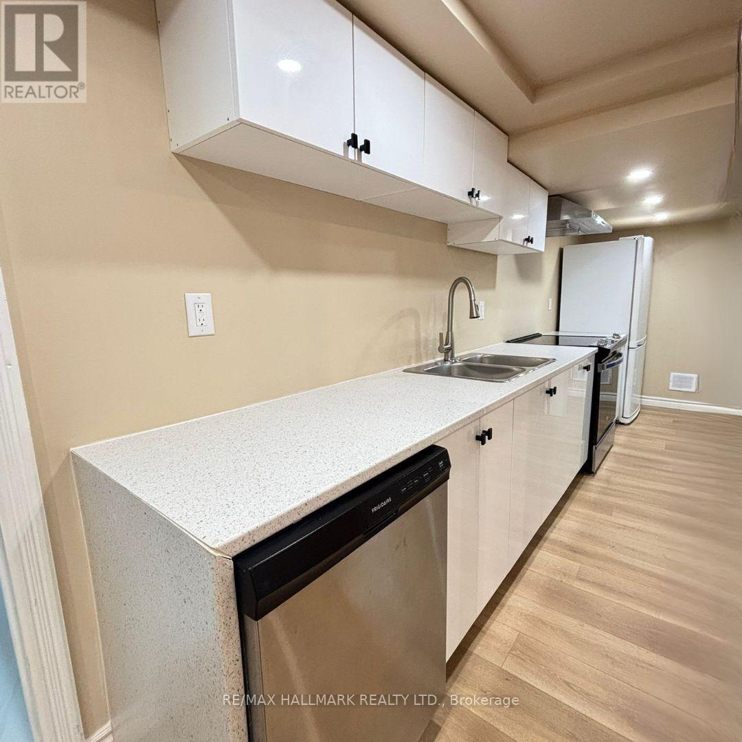 Basement - 359 Salisbury Lane, Newmarket, Ontario  L3Y 8A4 - Photo 5 - N12783130