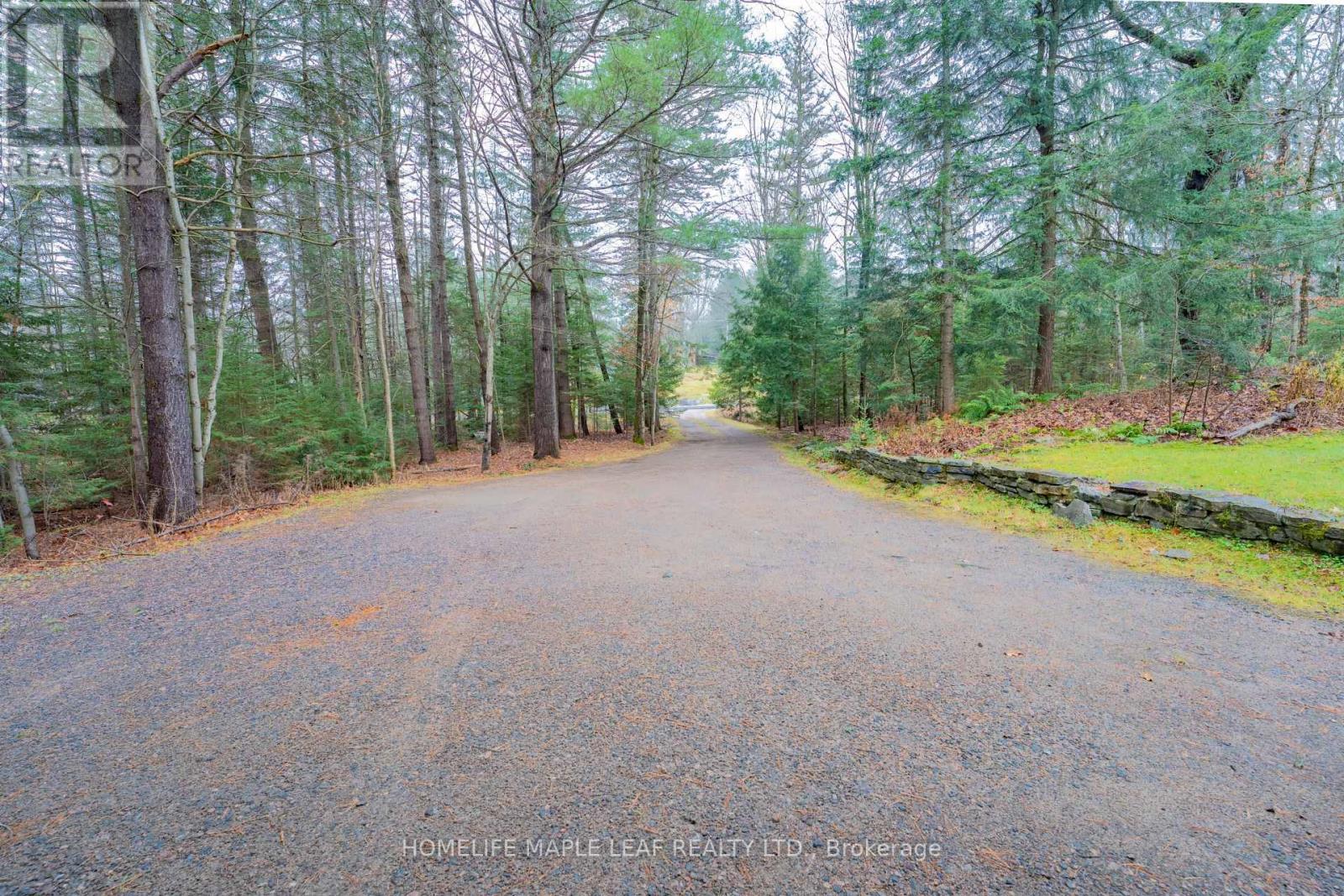 1507 Muskoka 117 Road, Bracebridge, Ontario  P1L 1W9 - Photo 38 - X12783098