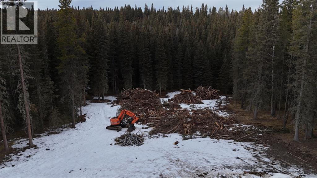 264033 Jamieson Road, Rural Bighorn No. 8, Alberta  T0L 1N0 - Photo 43 - A2284565