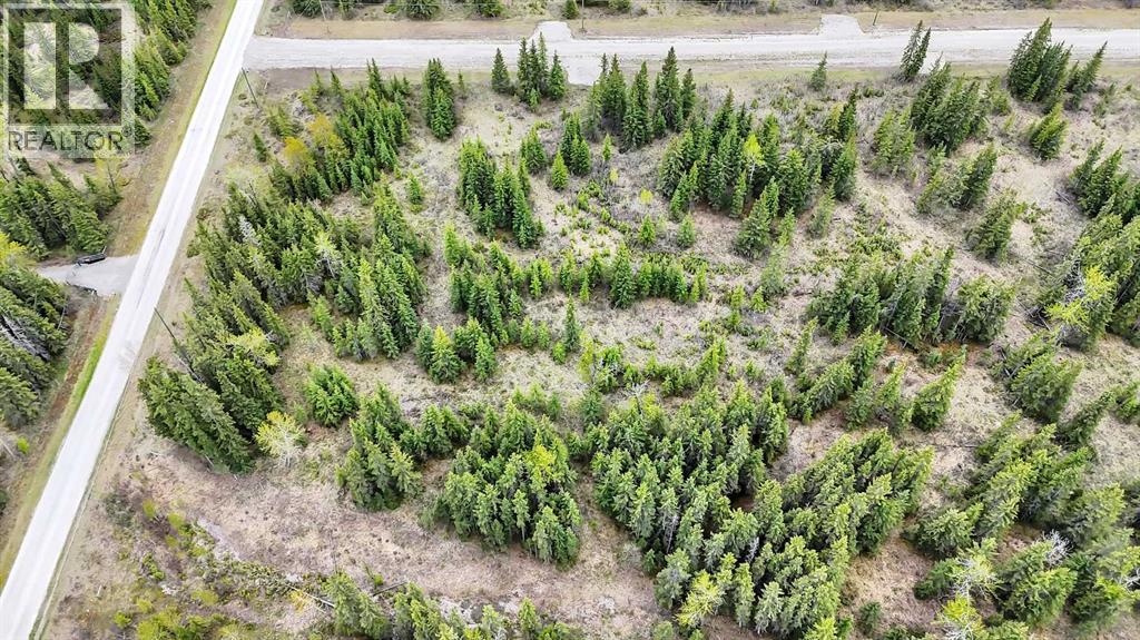 4, 34364 Range Road 42, Rural Mountain View County, Alberta  T0M 1X0 - Photo 10 - A2223874