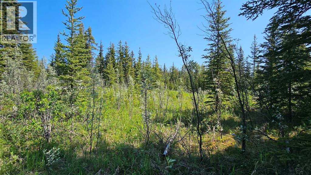 4, 34364 Range Road 42, Rural Mountain View County, Alberta  T0M 1X0 - Photo 2 - A2223874