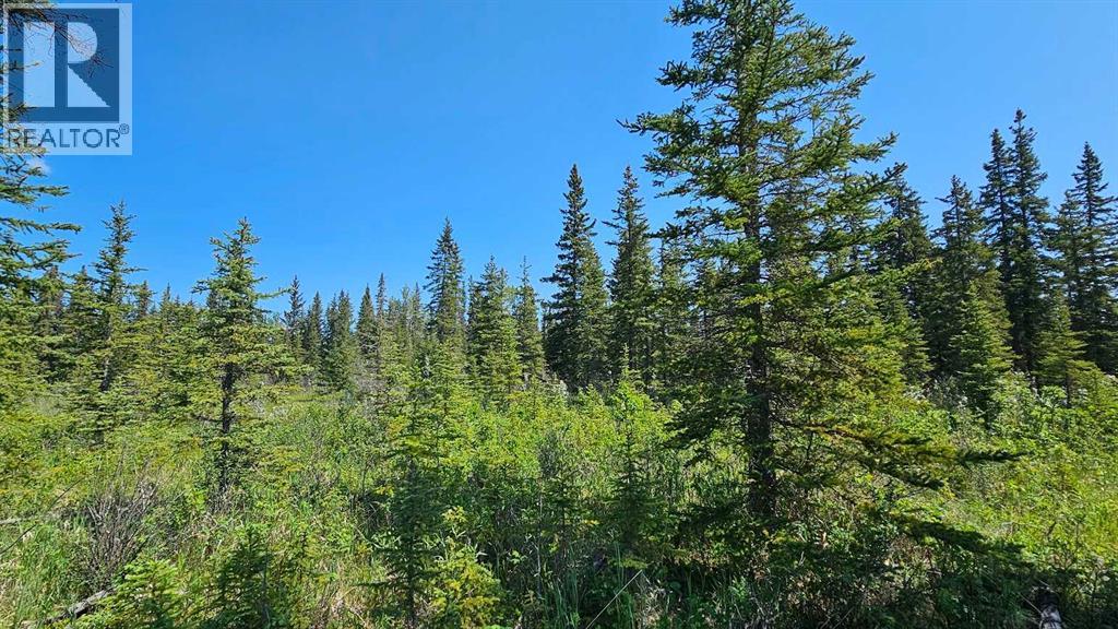 12, 34364 Range Road 42, Rural Mountain View County, Alberta  T0M 1X0 - Photo 3 - A2224204