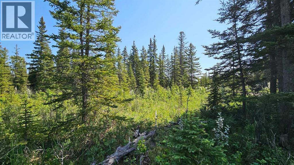 12, 34364 Range Road 42, Rural Mountain View County, Alberta  T0M 1X0 - Photo 4 - A2224204