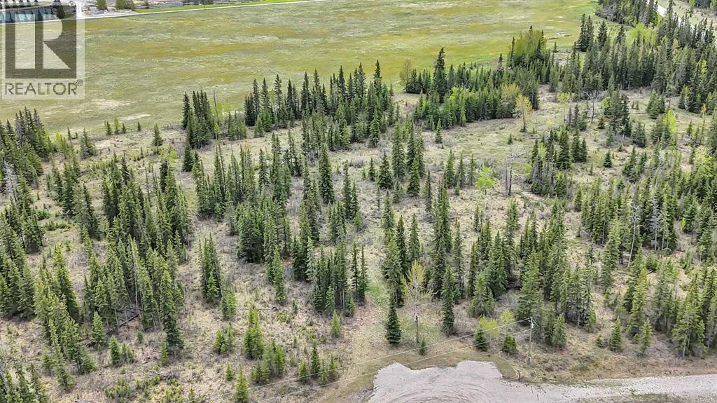 19, 34364 Range Road 42, Rural Mountain View County, Alberta  T0M 1X0 - Photo 6 - A2224208