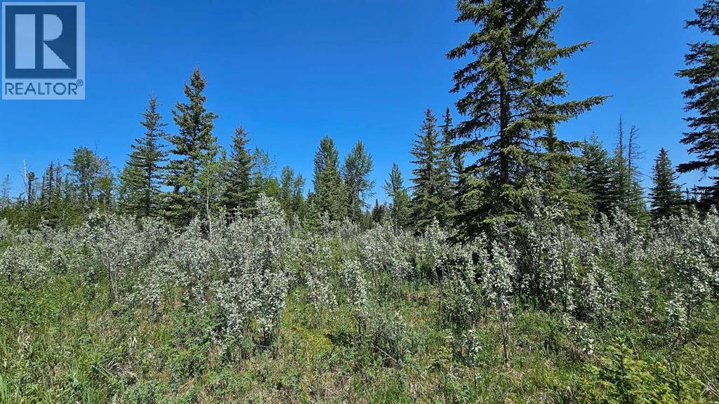 20, 34364 Range Road 42, Rural Mountain View County, Alberta  T0M 1X0 - Photo 3 - A2224213