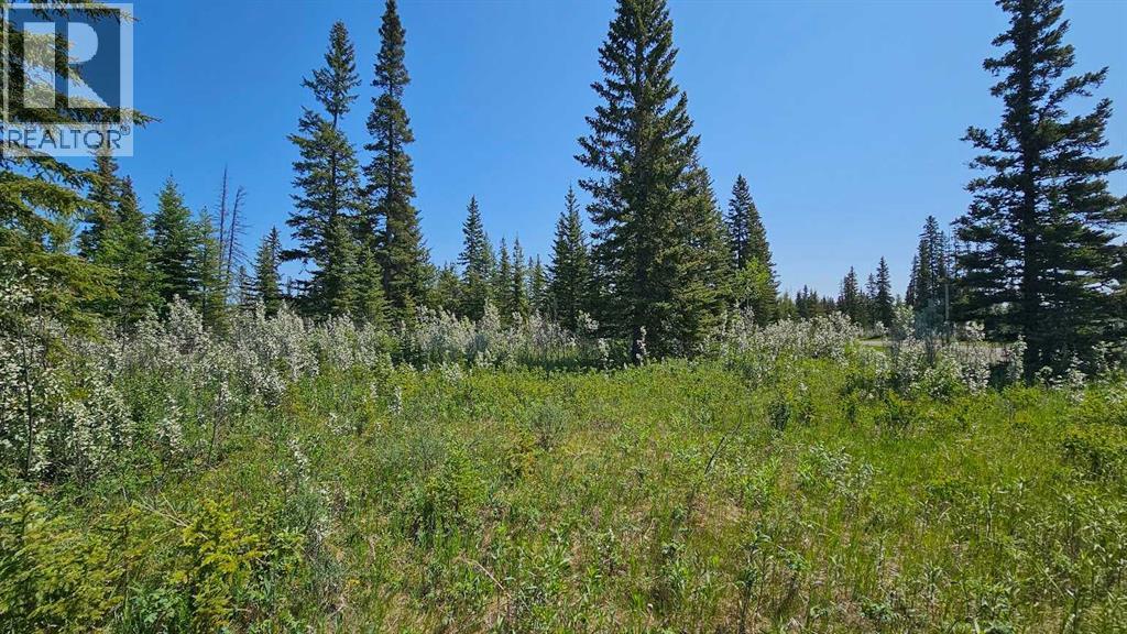 20, 34364 Range Road 42, Rural Mountain View County, Alberta  T0M 1X0 - Photo 5 - A2224213