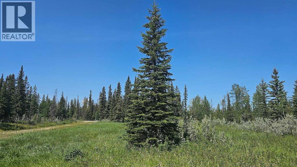 20, 34364 Range Road 42, Rural Mountain View County, Alberta  T0M 1X0 - Photo 2 - A2224213