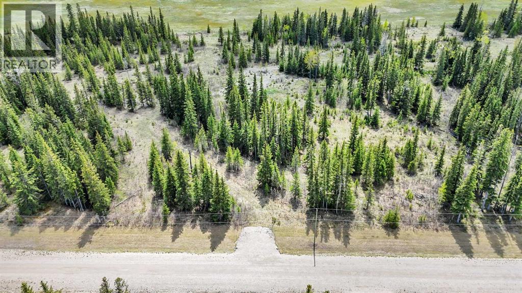 11, 34364 Range Road 42, Rural Mountain View County, Alberta  T0M 1X0 - Photo 5 - A2248905