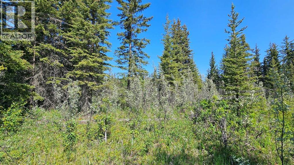 11, 34364 Range Road 42, Rural Mountain View County, Alberta  T0M 1X0 - Photo 2 - A2248905