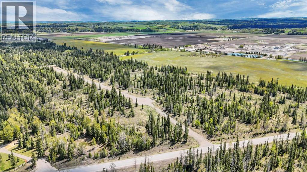 11, 34364 Range Road 42, Rural Mountain View County, Alberta  T0M 1X0 - Photo 12 - A2248905