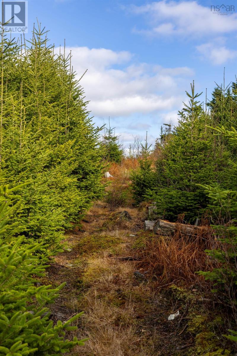 Acreage Sonora Road, Sherbrooke, Nova Scotia  B0J 3C0 - Photo 20 - 202528415