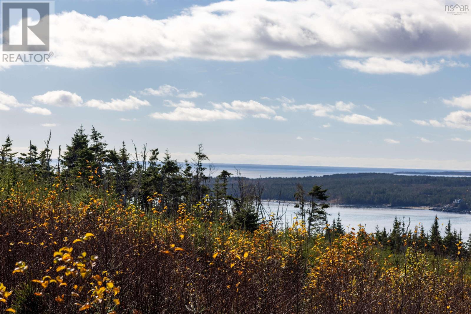 Acreage Sonora Road, Sherbrooke, Nova Scotia  B0J 3C0 - Photo 3 - 202528415