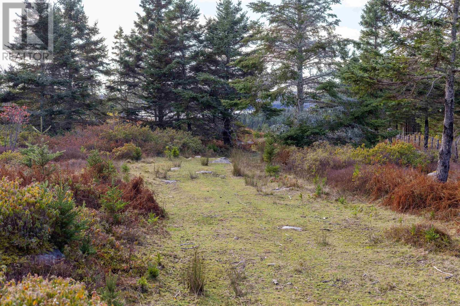 Acreage Sonora Road, Sherbrooke, Nova Scotia  B0J 3C0 - Photo 40 - 202528415