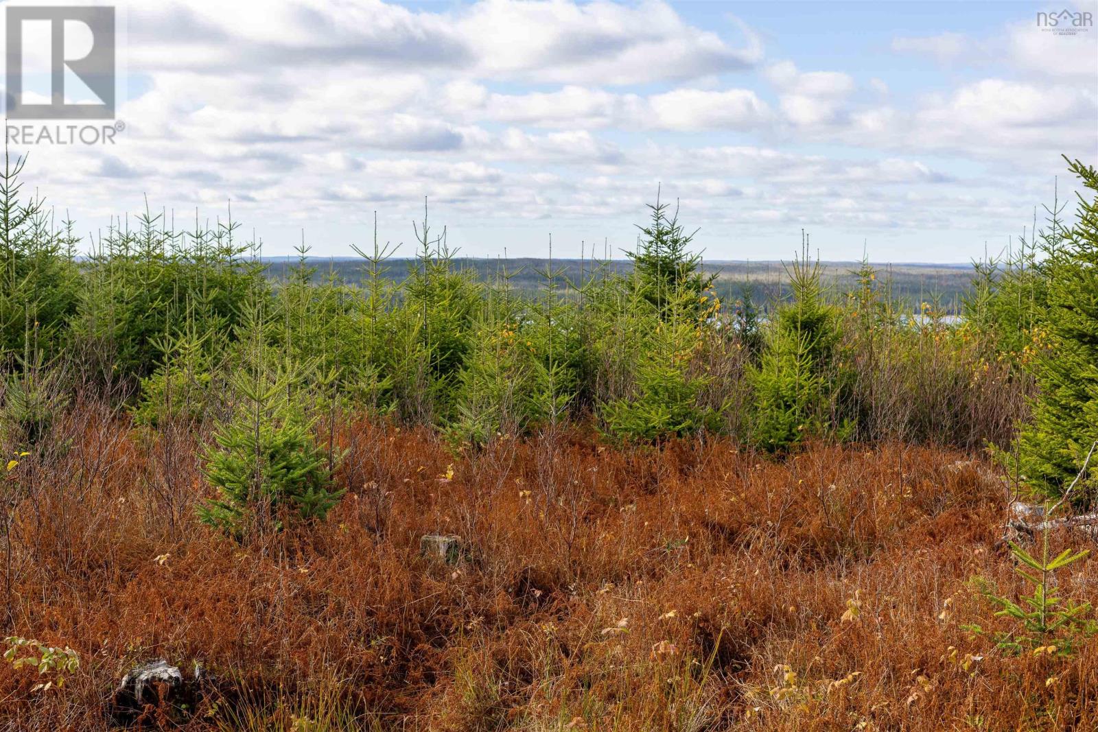 Acreage Sonora Road, Sherbrooke, Nova Scotia  B0J 3C0 - Photo 17 - 202528415