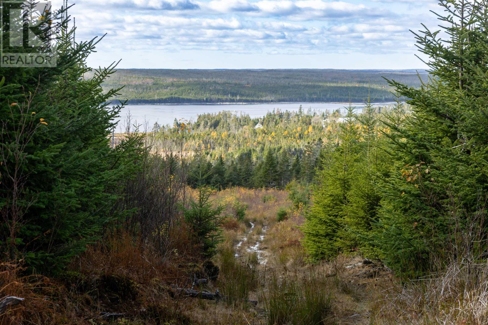 Acreage Sonora Road, Sherbrooke, Nova Scotia  B0J 3C0 - Photo 11 - 202528415