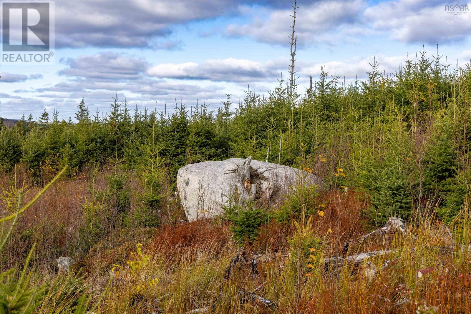 Acreage Sonora Road, Sherbrooke, Nova Scotia  B0J 3C0 - Photo 23 - 202528415