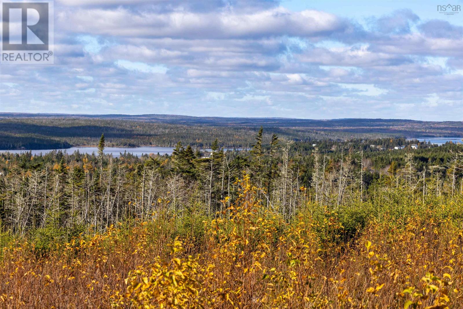 Acreage Sonora Road, Sherbrooke, Nova Scotia  B0J 3C0 - Photo 6 - 202528415
