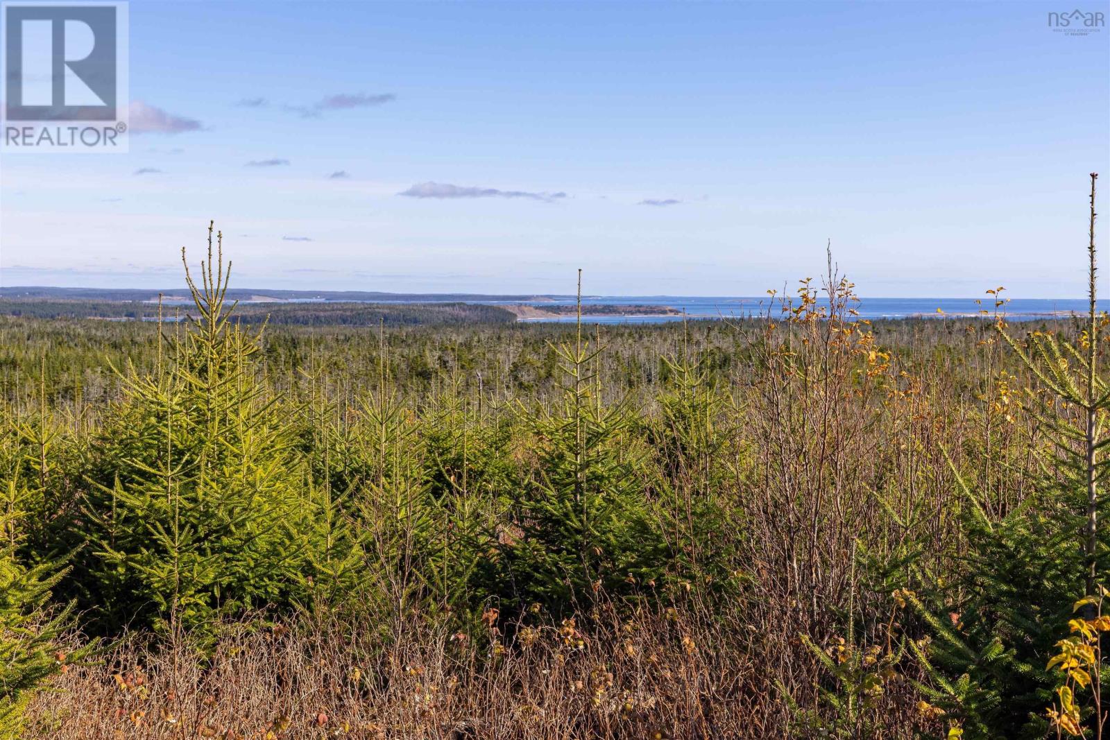 Acreage Sonora Road, Sherbrooke, Nova Scotia  B0J 3C0 - Photo 5 - 202528415