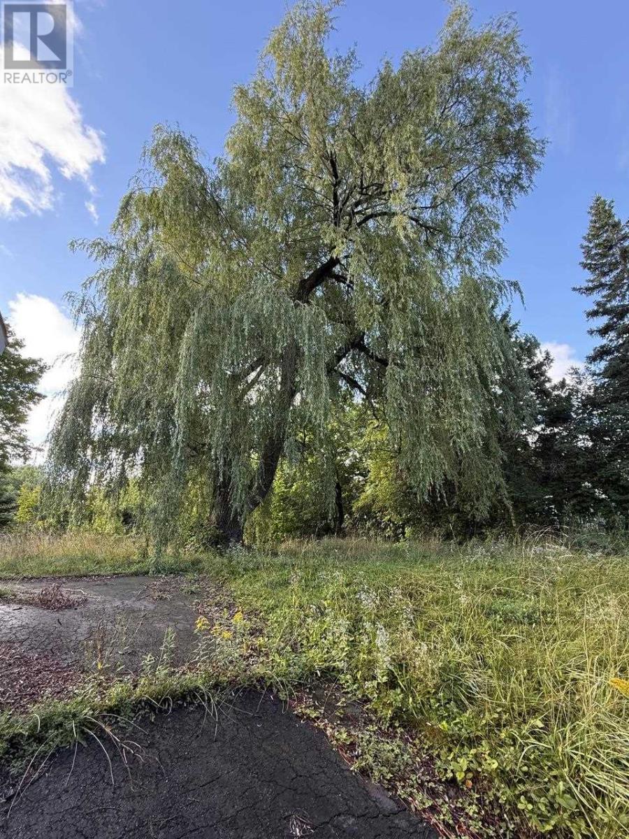 34 Knox Ave, Sault Ste. Marie, Ontario  P6B 3X9 - Photo 7 - SM260285