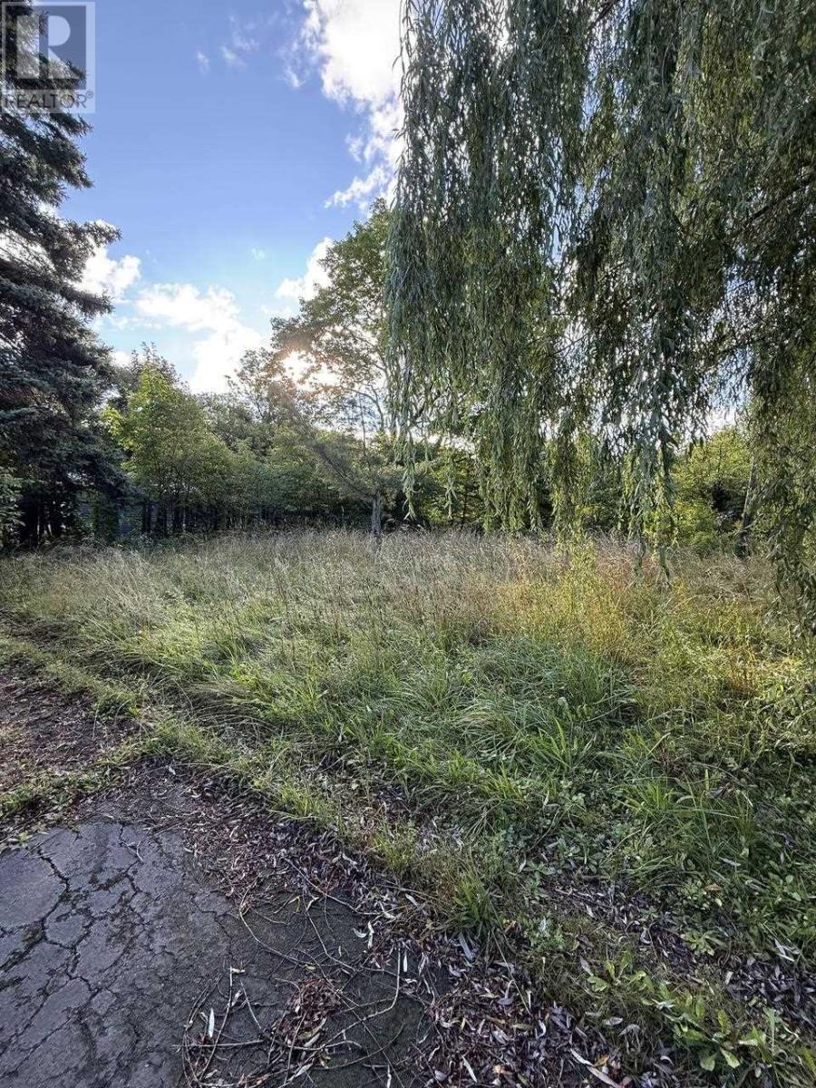 34 Knox Ave, Sault Ste. Marie, Ontario  P6B 3X9 - Photo 8 - SM260285