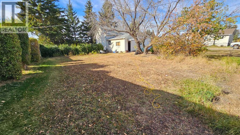 4529 44 Street, Castor, Alberta  T0C 0X0 - Photo 4 - A2263164