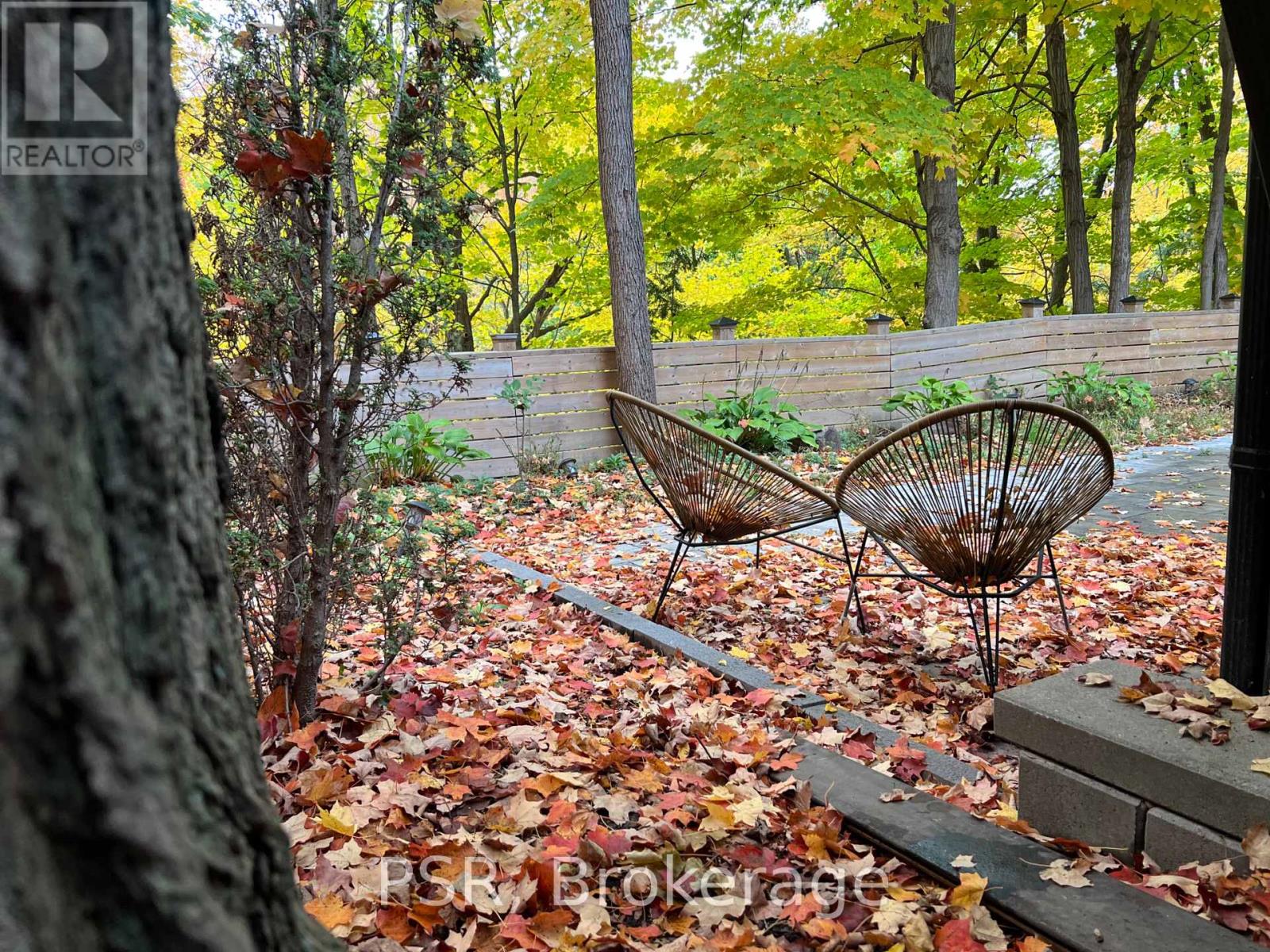 Bsmt - 2b Roycrest Avenue, Toronto, Ontario  M2N 1R2 - Photo 8 - C12783436