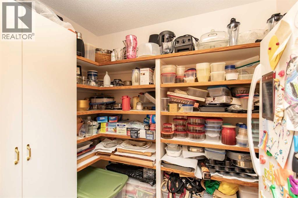 50 Coventry Lane, Lacombe, Alberta  T4L 1T3 - Photo 17 - A2284752