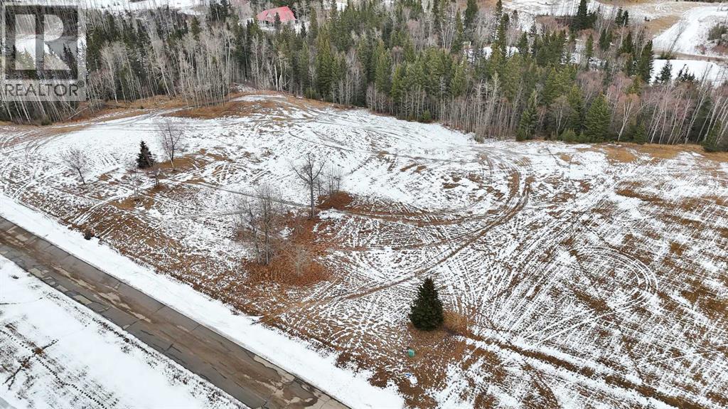 17 Hidden Valley Close, Rural Clearwater County, Alberta  T4T 2A2 - Photo 6 - A2285501