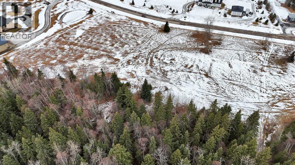 17 Hidden Valley Close, Rural Clearwater County, Alberta  T4T 2A2 - Photo 11 - A2285501