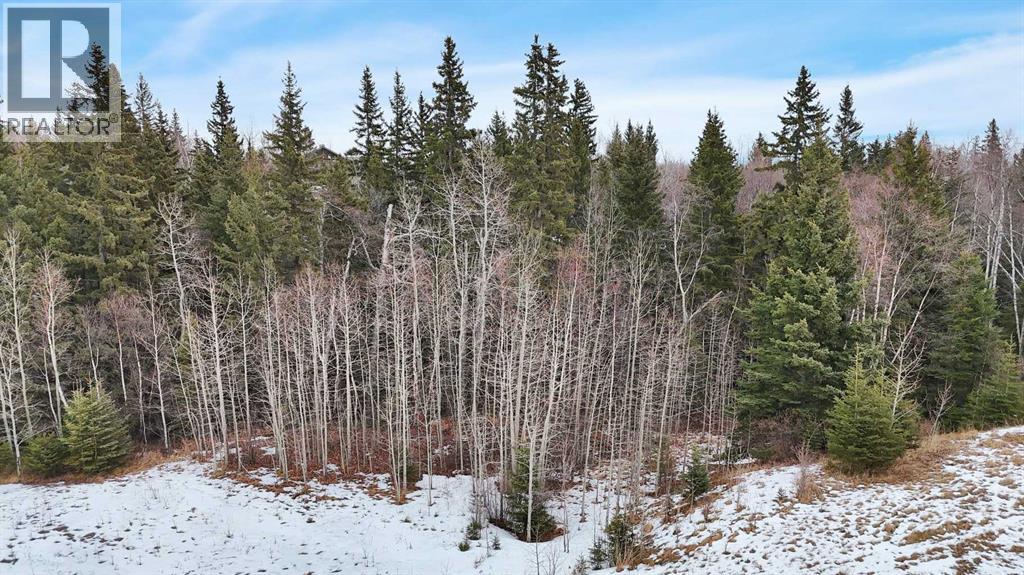 17 Hidden Valley Close, Rural Clearwater County, Alberta  T4T 2A2 - Photo 13 - A2285501